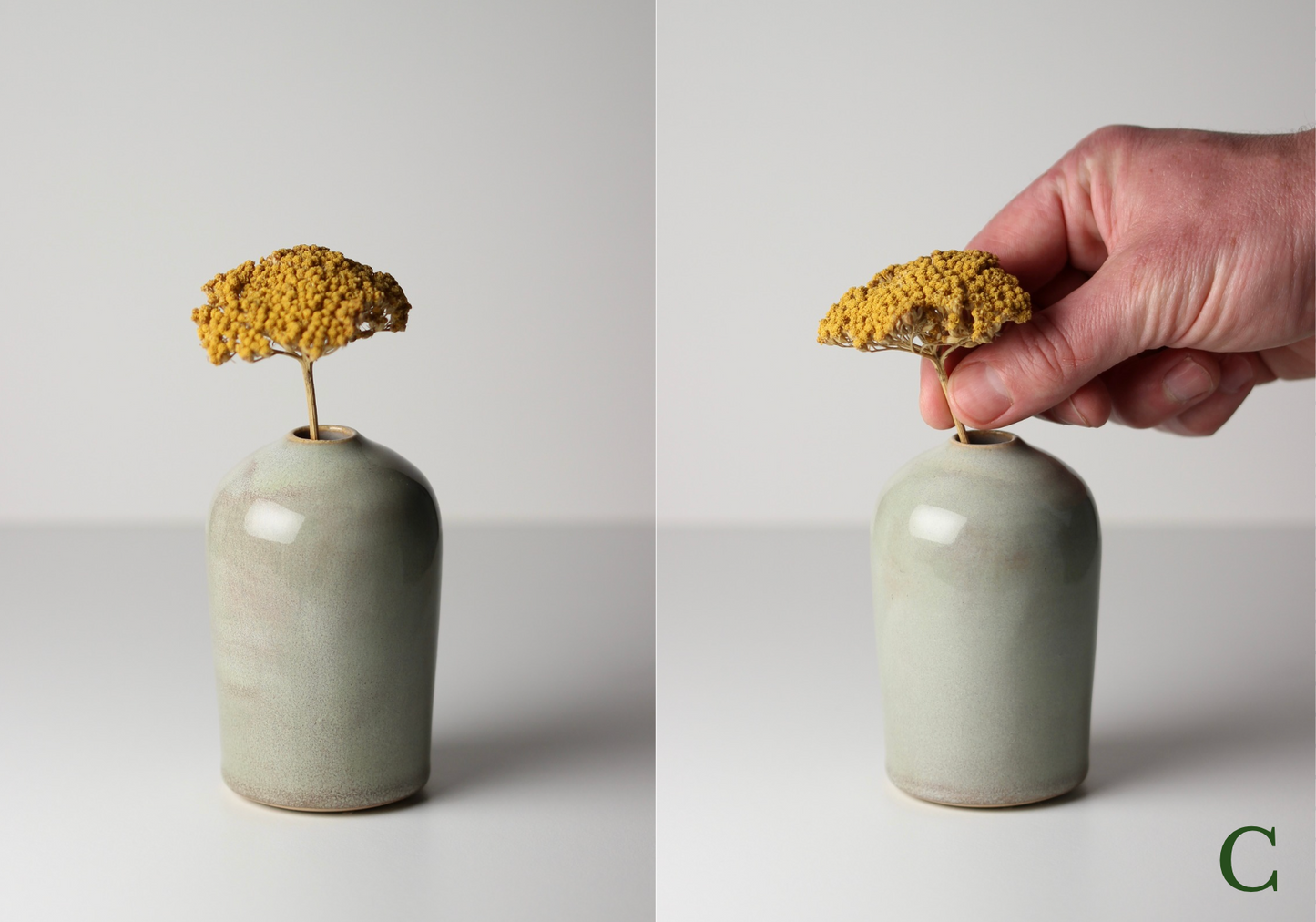 (NEW) Bud Vase, Forest Mist