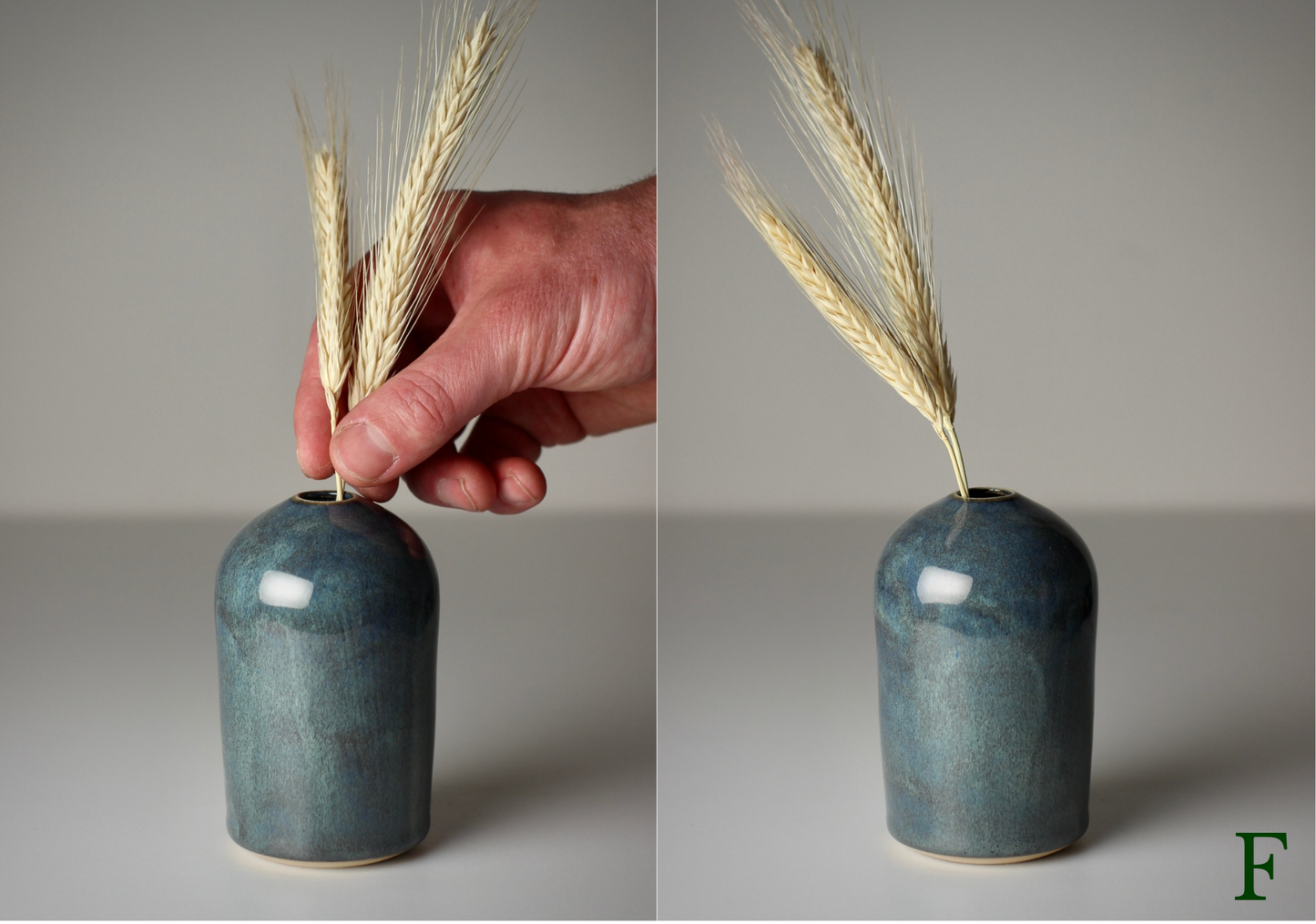 Bud Vase, Irish Sea